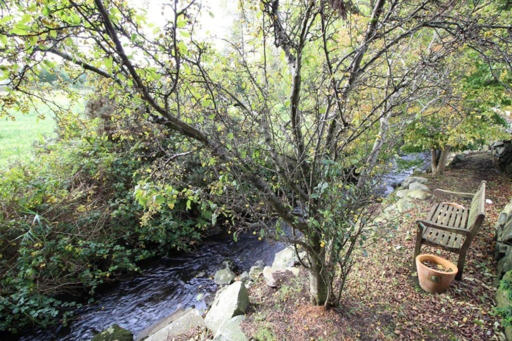 Riverside Cottage At Logwood Mill Ballyclare Екстериор снимка