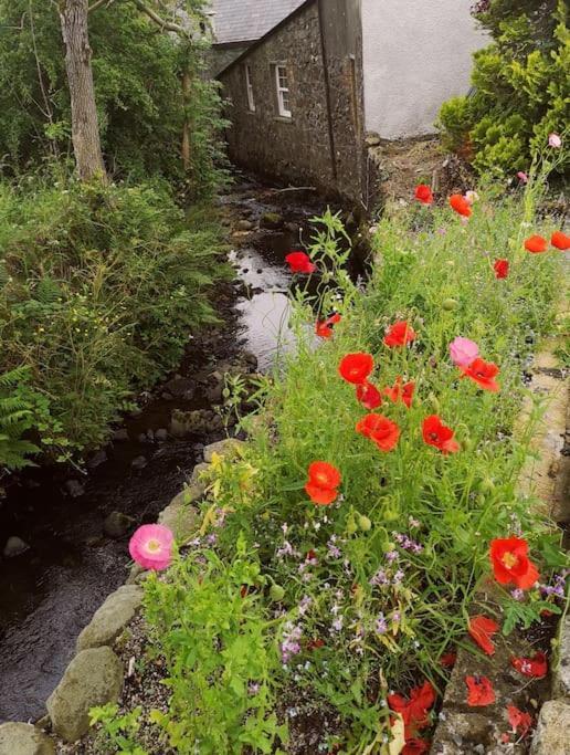 Riverside Cottage At Logwood Mill Ballyclare Екстериор снимка