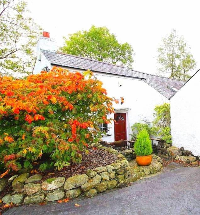 Riverside Cottage At Logwood Mill Ballyclare Екстериор снимка