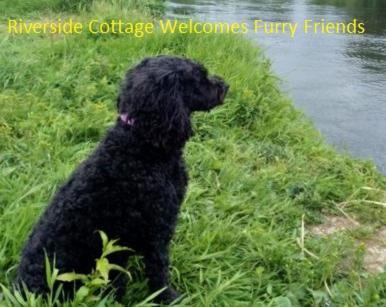 Riverside Cottage At Logwood Mill Ballyclare Екстериор снимка